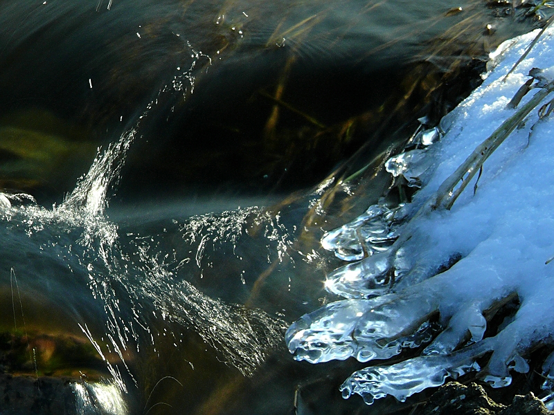 Wczytywanie Obrazu...