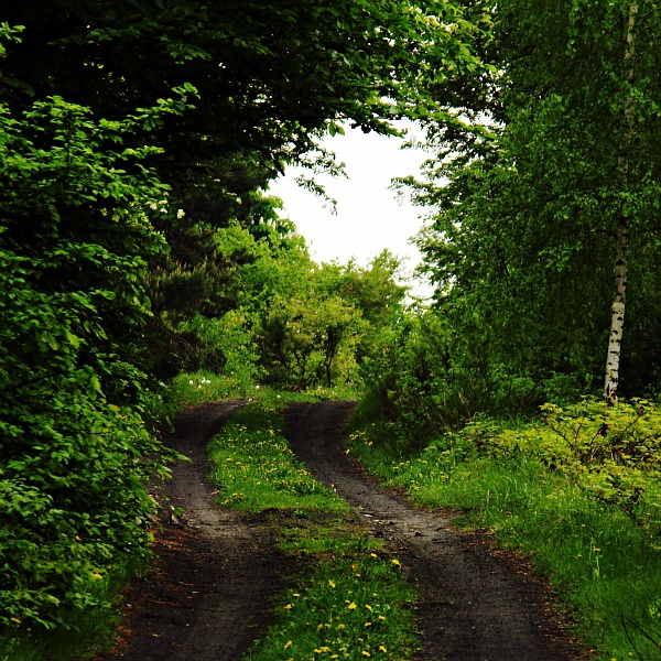 Wczytywanie Obrazu...