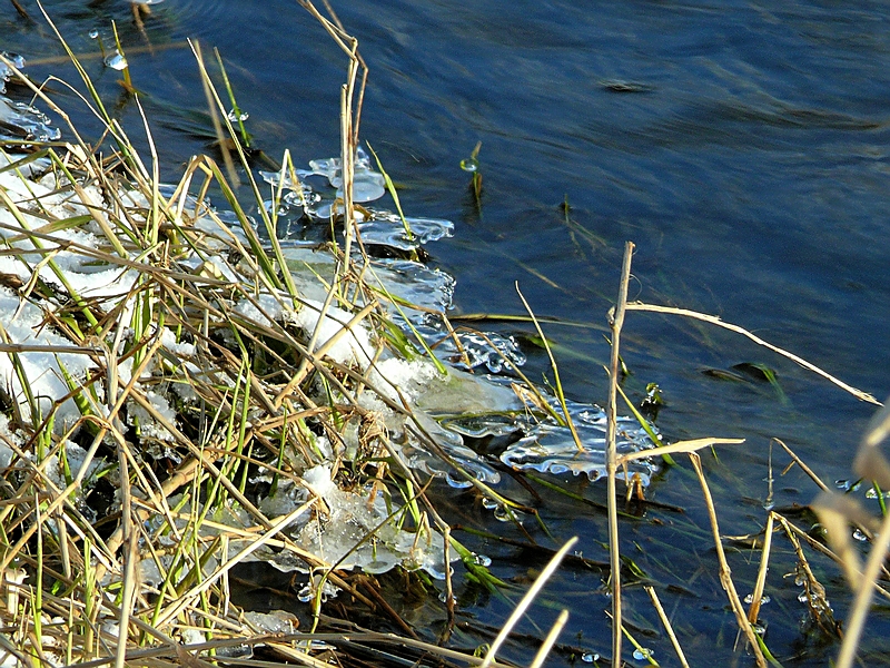 Wczytywanie Obrazu...