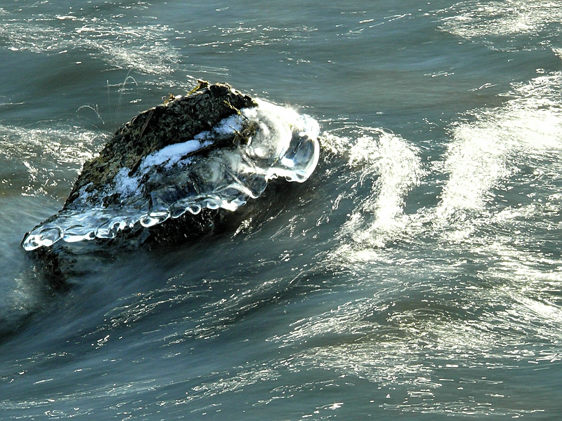 Wczytywanie Obrazu...