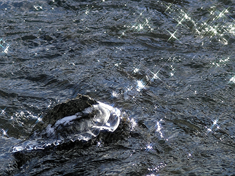 Wczytywanie Obrazu...