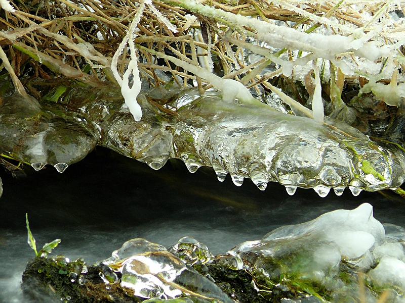 Wczytywanie Obrazu...