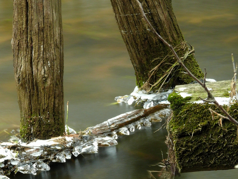 Wczytywanie Obrazu...