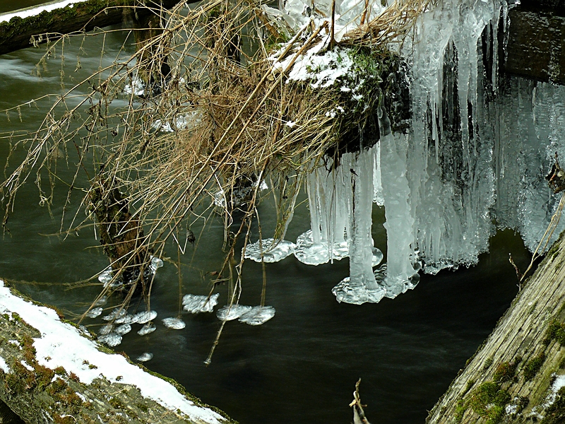 Wczytywanie Obrazu...