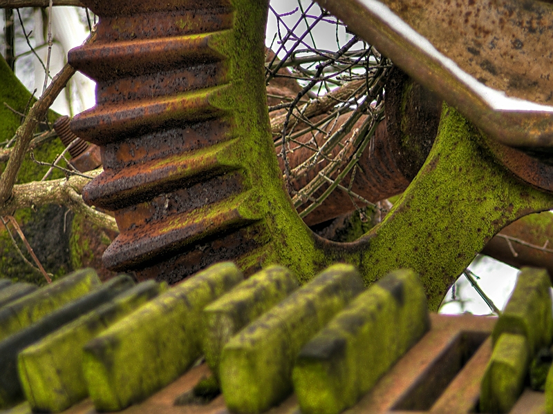 Wczytywanie Obrazu...