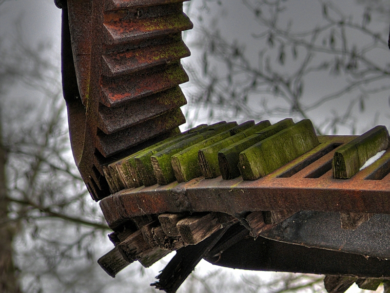 Wczytywanie Obrazu...