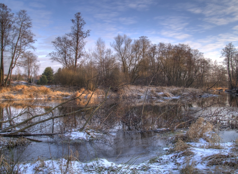 Wczytywanie Obrazu...