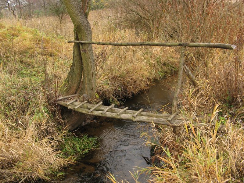 Wczytywanie Obrazu...