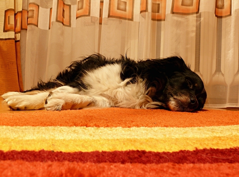 Wczytywanie Obrazu...