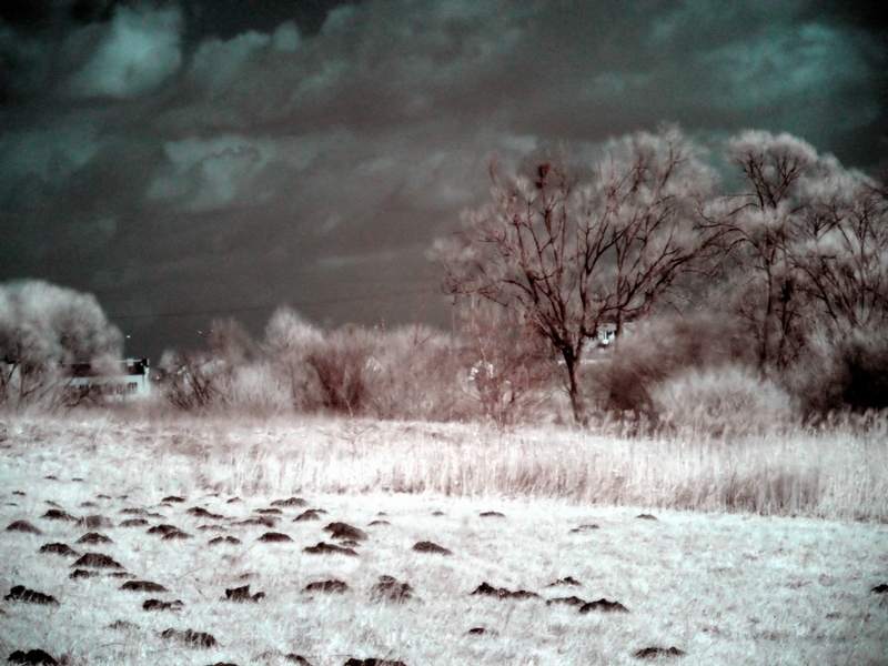 Wczytywanie Obrazu...