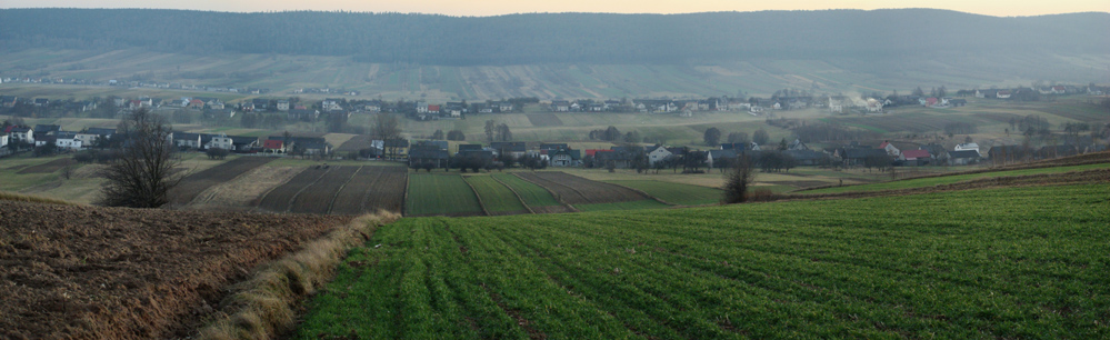 Wczytywanie Obrazu...