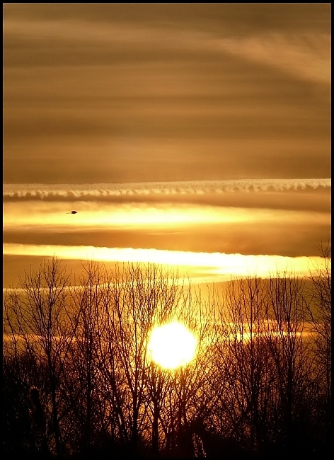 Wczytywanie Obrazu...