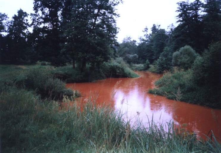 Wczytywanie Obrazu...