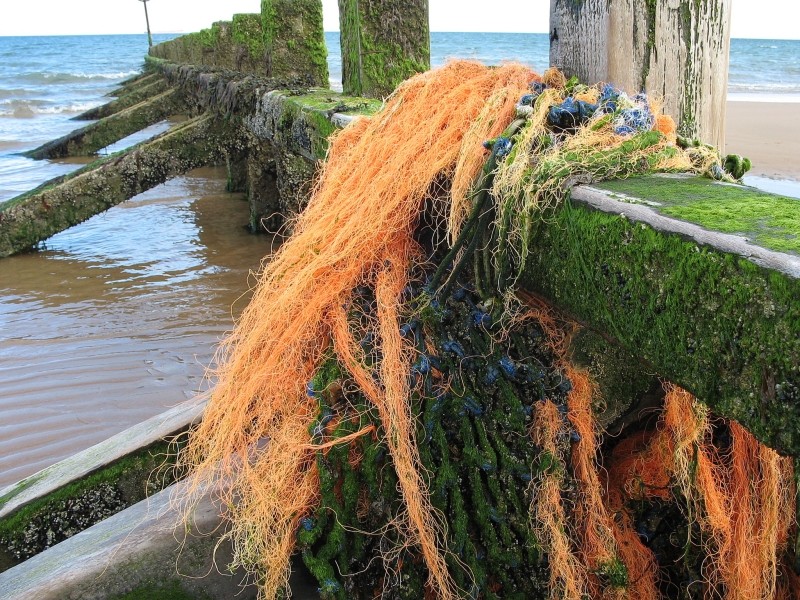 Wczytywanie Obrazu...