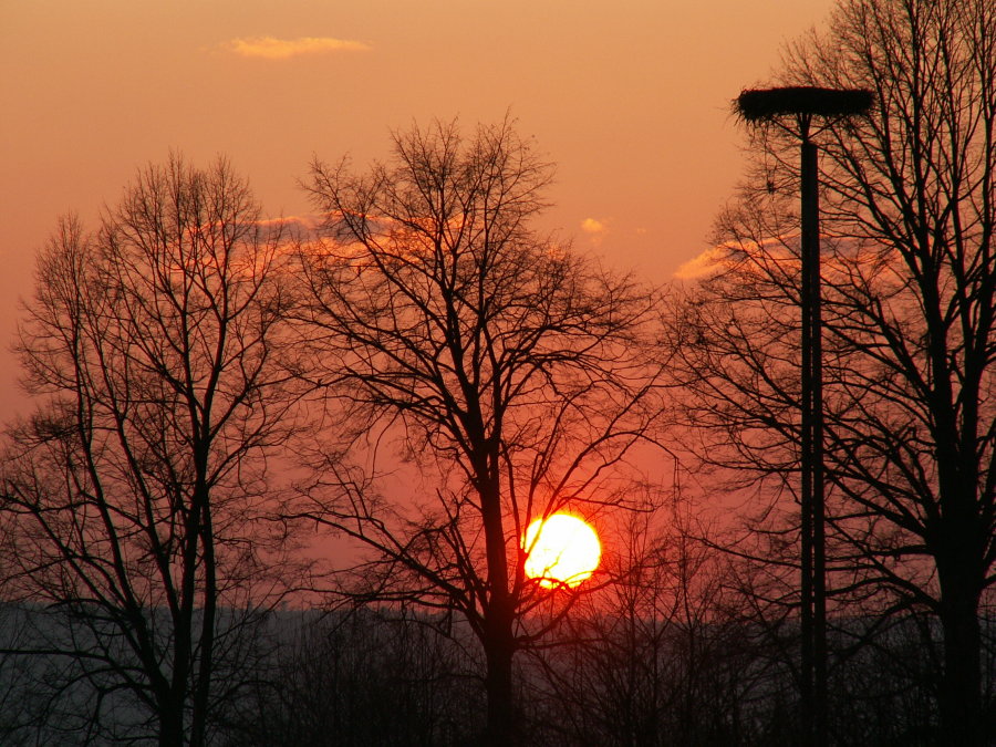 Wczytywanie Obrazu...