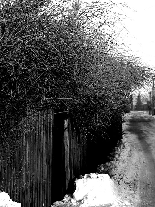 Wczytywanie Obrazu...