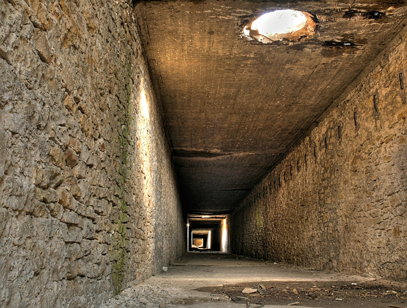 Wczytywanie Obrazu...