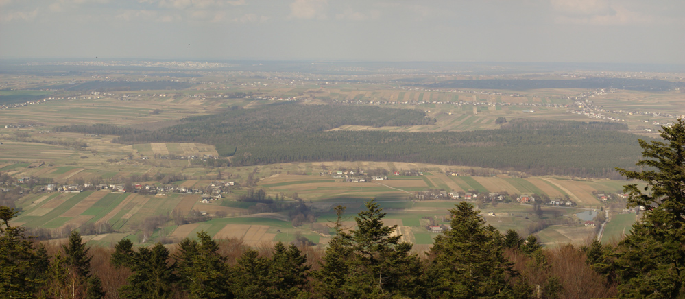 Wczytywanie Obrazu...