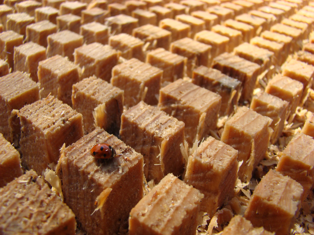 Wczytywanie Obrazu...