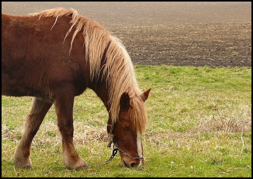 Wczytywanie Obrazu...