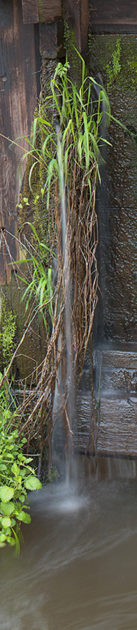 Wczytywanie Obrazu...