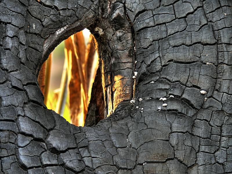 Wczytywanie Obrazu...