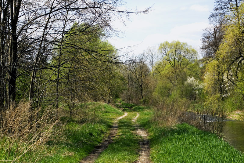 Wczytywanie Obrazu...