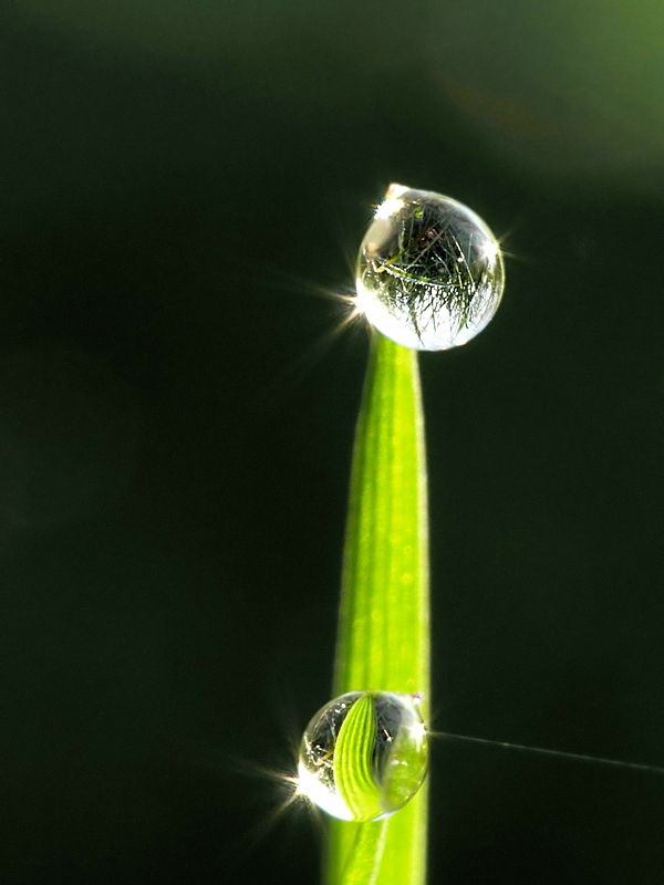 Wczytywanie Obrazu...