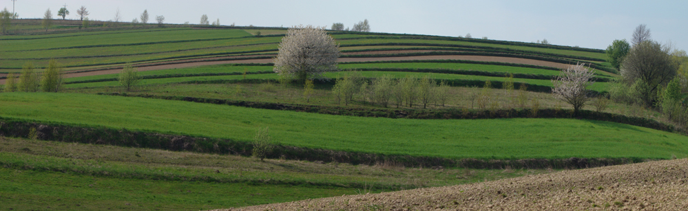 Wczytywanie Obrazu...