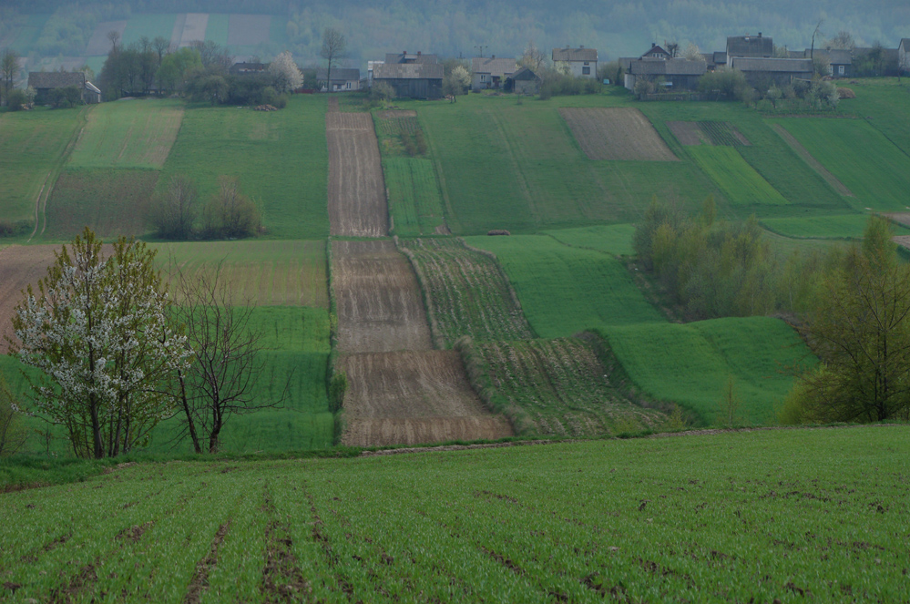 Wczytywanie Obrazu...