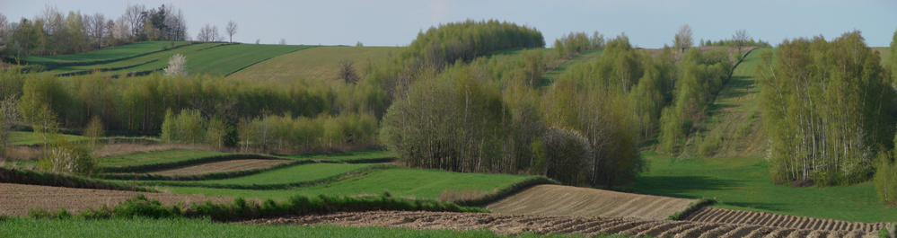 Wczytywanie Obrazu...