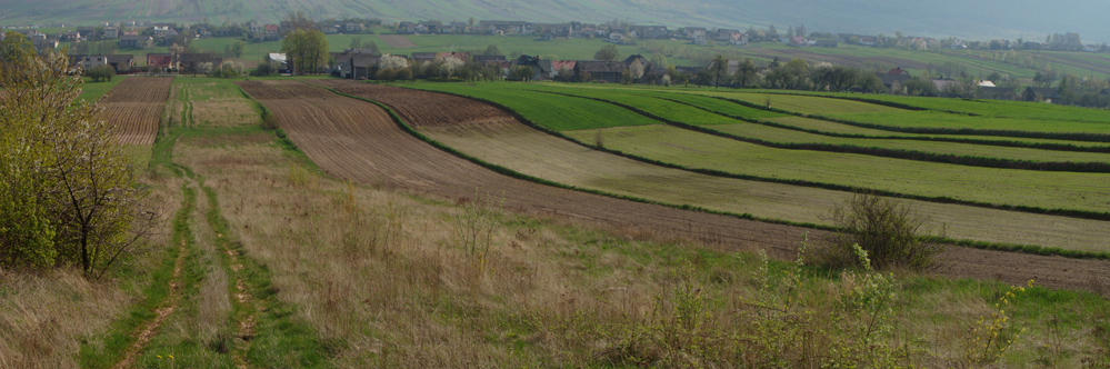 Wczytywanie Obrazu...