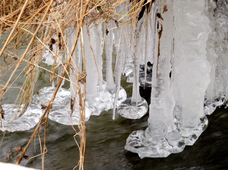 Wczytywanie Obrazu...