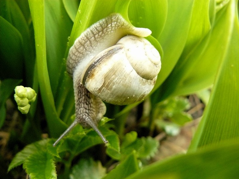 Wczytywanie Obrazu...