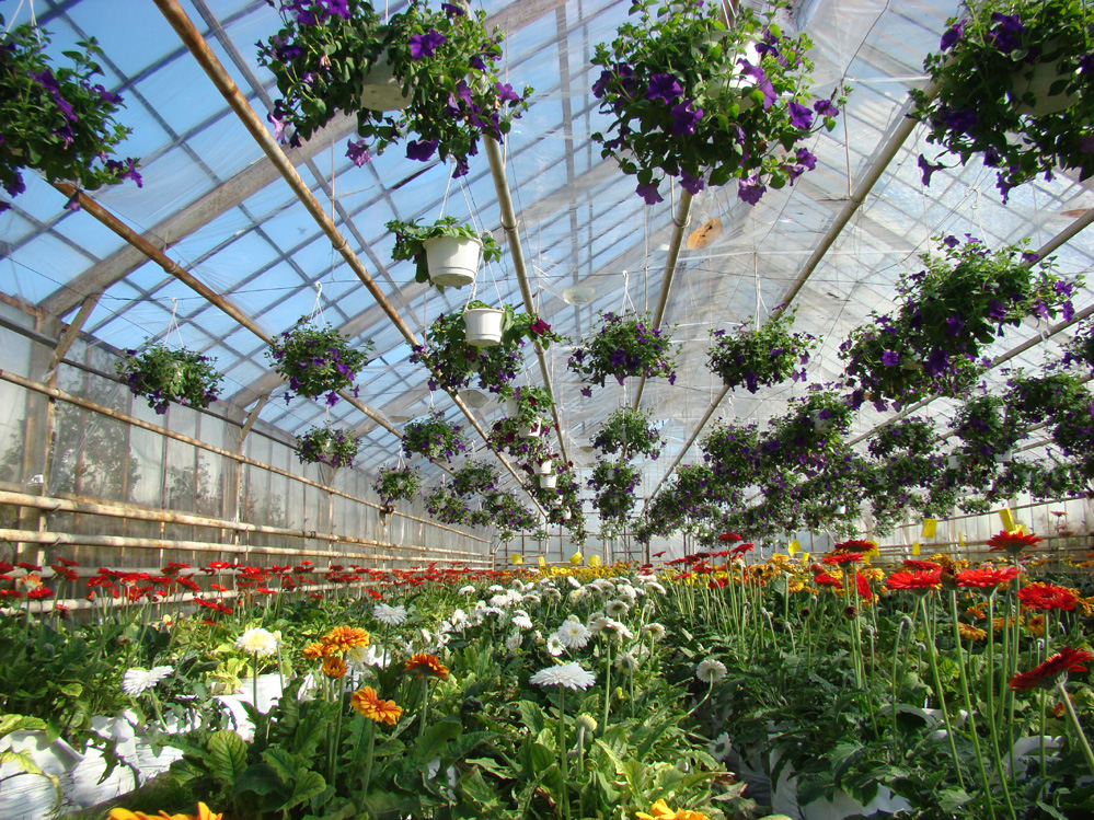 Wczytywanie Obrazu...