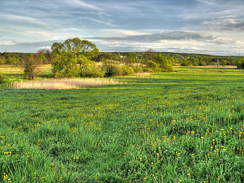Wczytywanie Obrazu...