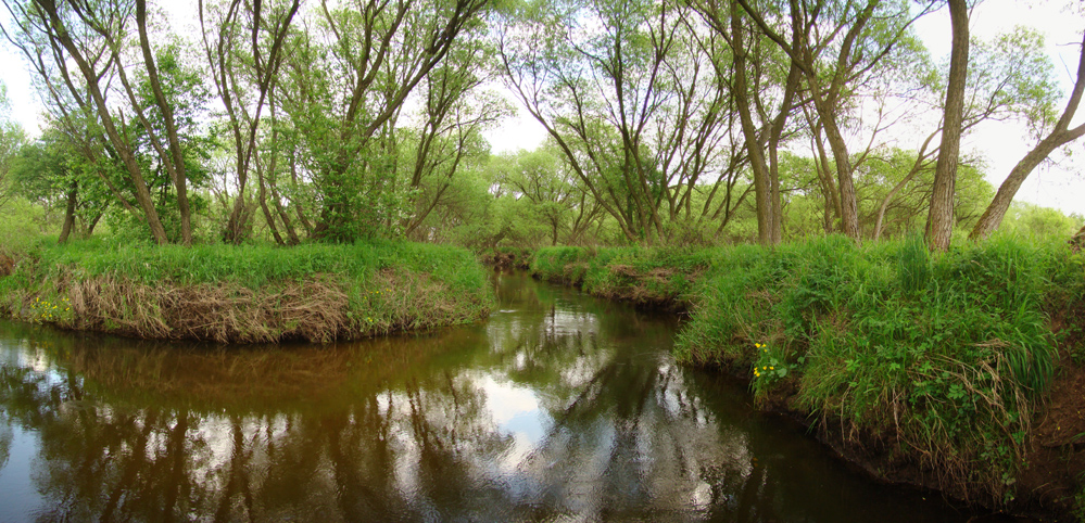 Wczytywanie Obrazu...