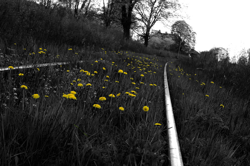 Wczytywanie Obrazu...