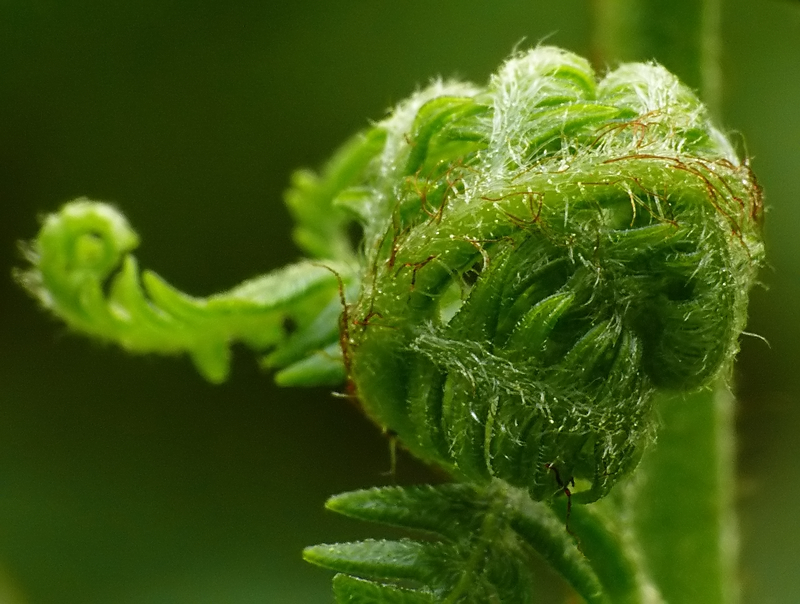 Wczytywanie Obrazu...