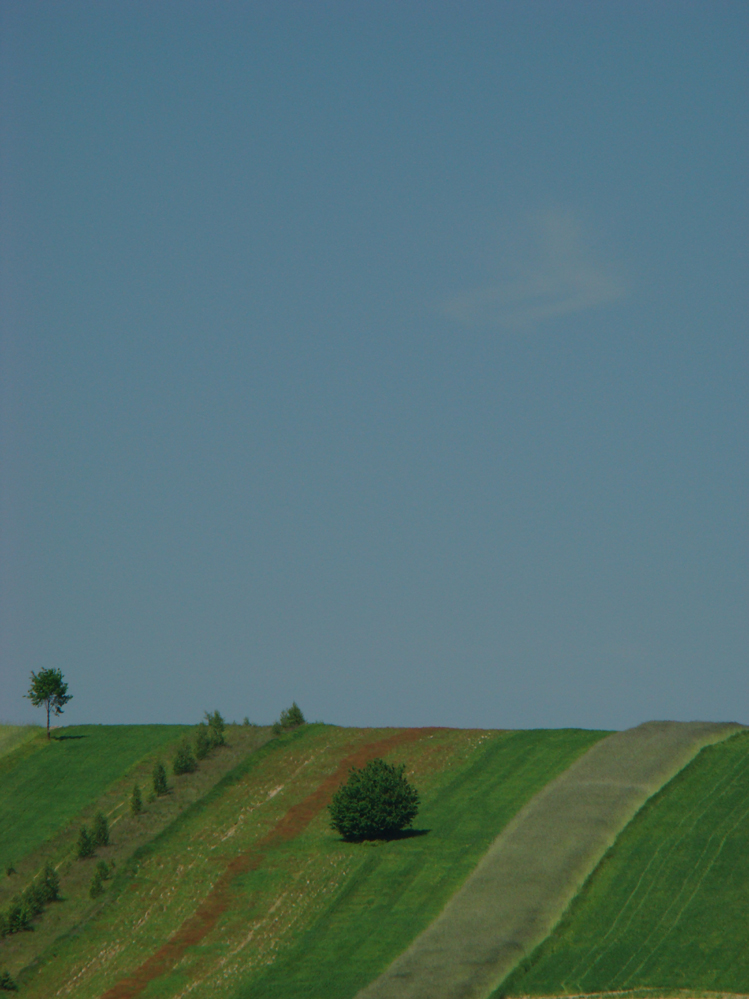 Wczytywanie Obrazu...