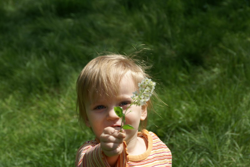 Wczytywanie Obrazu...