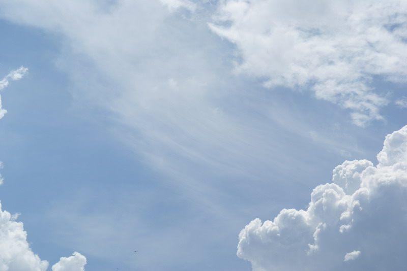 Wczytywanie Obrazu...