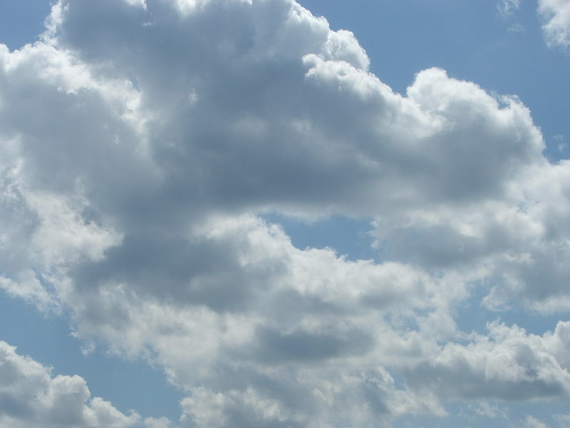 Wczytywanie Obrazu...