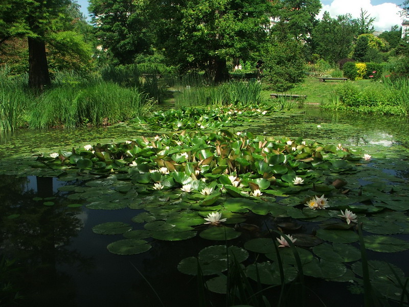 Wczytywanie Obrazu...