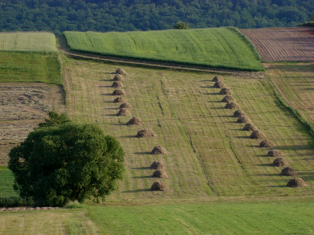 Wczytywanie Obrazu...