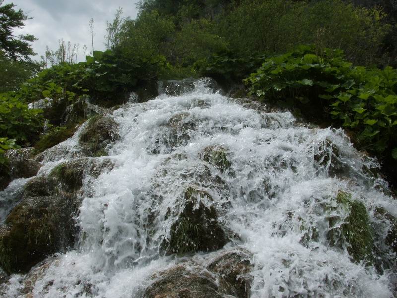 Wczytywanie Obrazu...