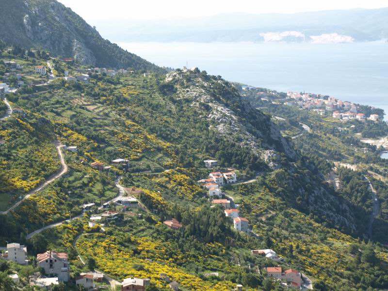 Wczytywanie Obrazu...