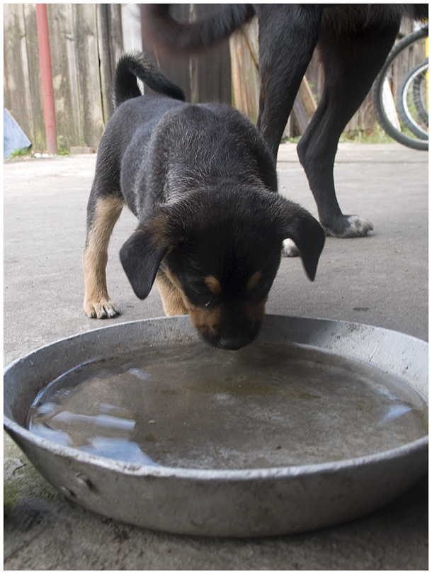 Wczytywanie Obrazu...