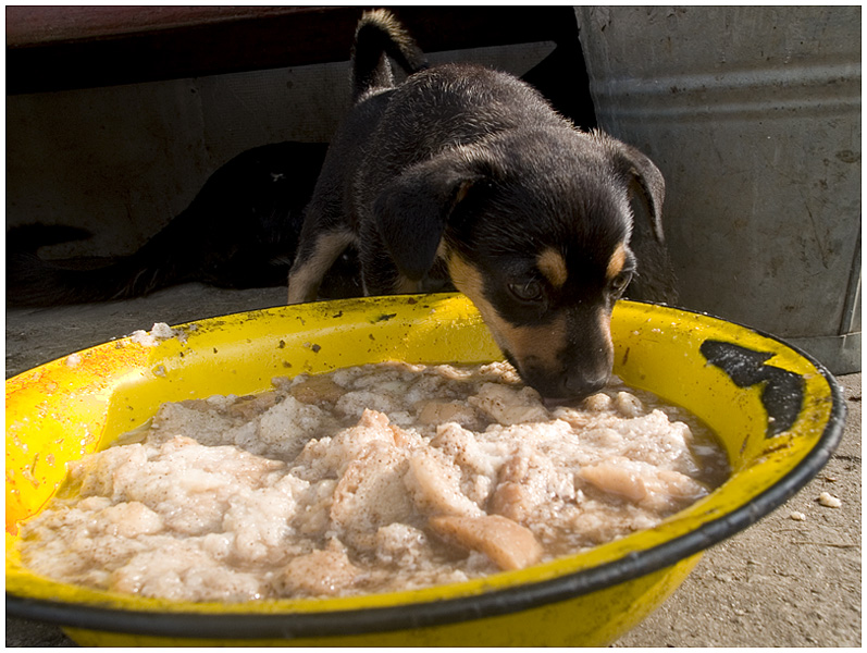 Wczytywanie Obrazu...