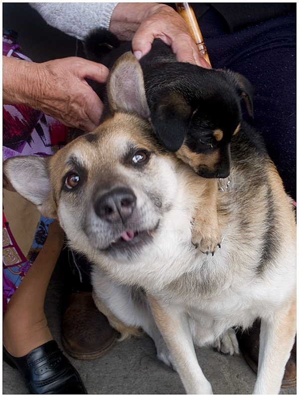 Wczytywanie Obrazu...